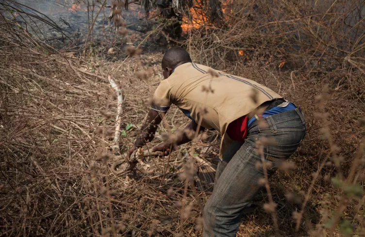 Muž se snaží chytit hada, Středoafrická republika, 2017. Foto: Alexis Huguet