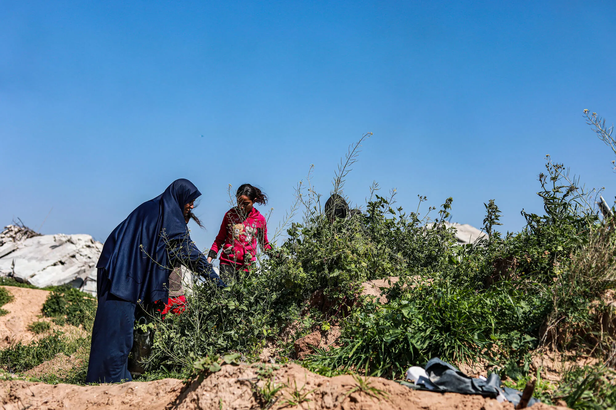 Photos of Displaced Lives [Gaza] - Documentary series