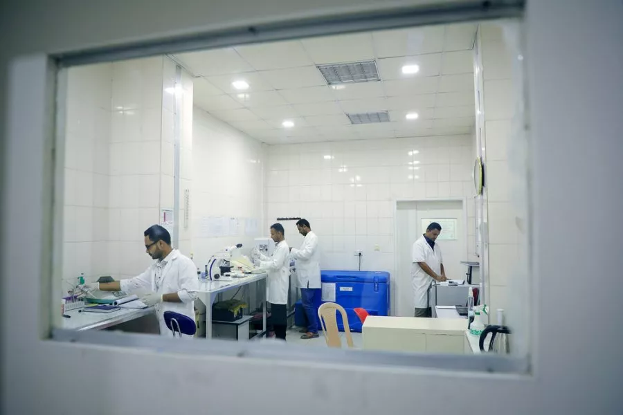 Proč bakterie milují válku: problém antibiotické rezistence na Blízkém východě